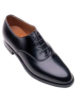 ALDEN Plain Toe Bal Oxford