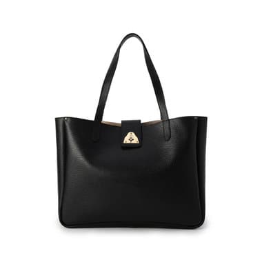 Felisi 【9月下旬入荷予定】26/17/BN+SN