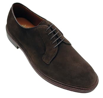 ALDEN Plain Toe Blucher 9503